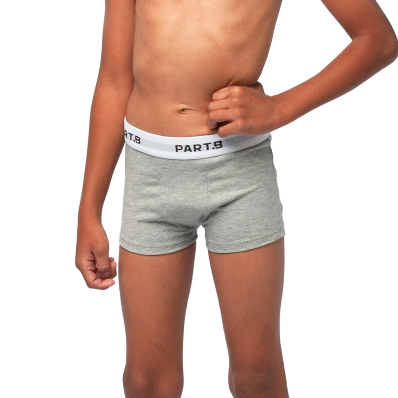 Cueca Infantil Boxer Algodão Parte.B Soft Cinza