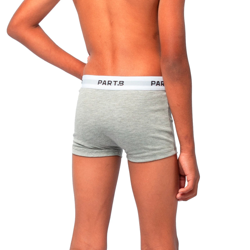 Cueca Infantil Boxer Algodão Parte.B Soft Cinza